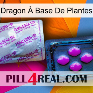 Dragon À Base De Plantes 37